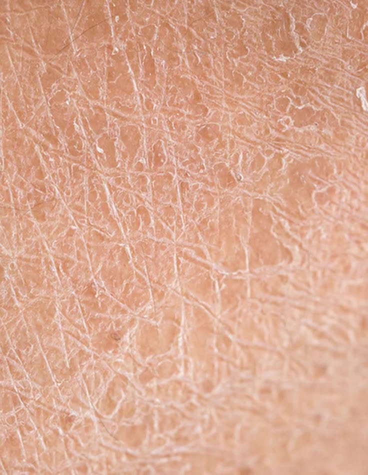 Hydrafacial CP Praxis
